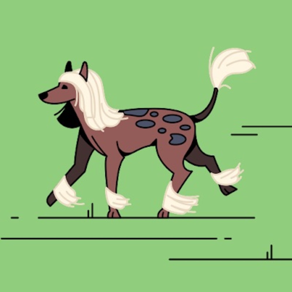 Meet your Posher, Chelsea